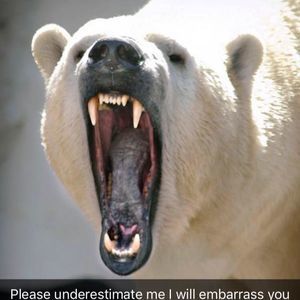 Meet your Posher, Joshua